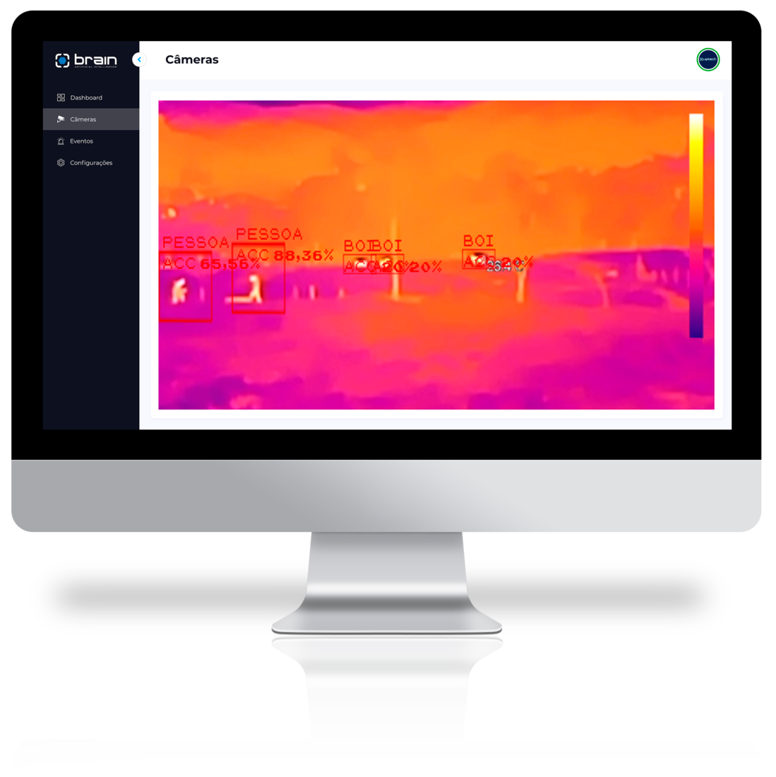Brain Mockup 01